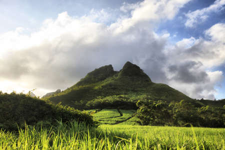 Mountain on a background of the sky. Mauritiusの写真素材