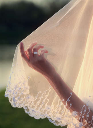 Wedding veil and hand of the brideの写真素材