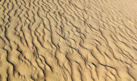Sand dunes of desert in Death Valleyの写真素材