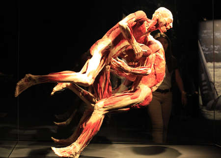 USA, NEW YORK CITY - 17 MAY 2013: Gunther von Hagen
