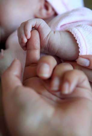 The image of hands of parent and the child
