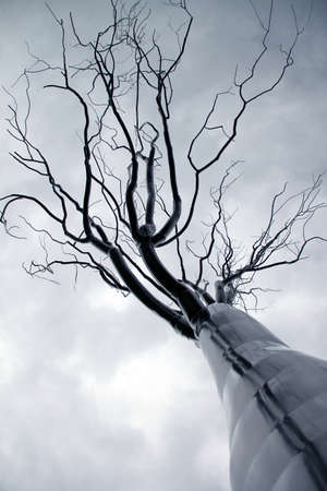 Tree from iron on sky backgroundの写真素材