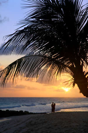 Romantic couple at beach with sunset in the background at Barbados islandの写真素材