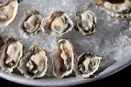 Opened oysters on ice の写真素材