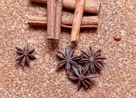 anice and cinnamon isolated on beige background
