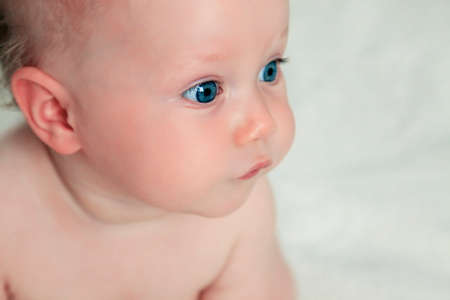 Beautiful small kid girl in studioの写真素材