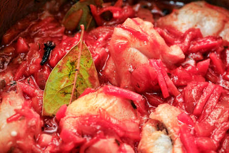 Fish stew of marinated generalize and tomato paste