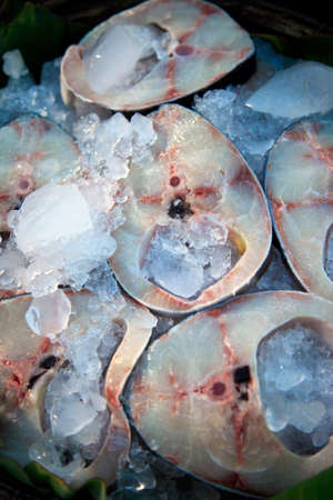 Fresh fish in ice on the marketの写真素材