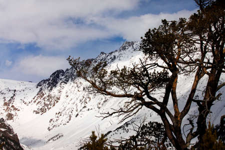 Russia. Caucasus. View on Elbrus Mount - the highest point of Europe from Cheget Mountの写真素材