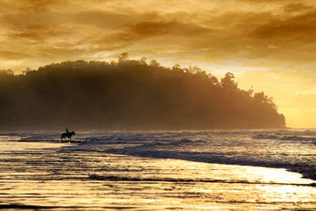 Evening walk with a horse on the oceanの写真素材