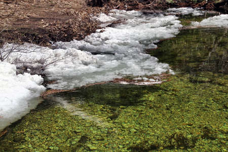 Shore of the lake in the spring in Yosemite National Park. California