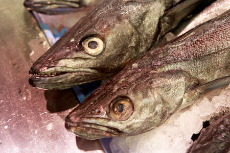 Fresh fish in ice at the marketの写真素材