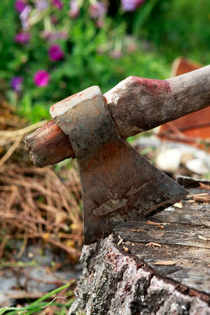 Old ax on a wooden stump and green grass of the backgroundの写真素材