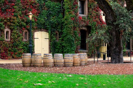 Napa valley vineyard, Californiaの写真素材