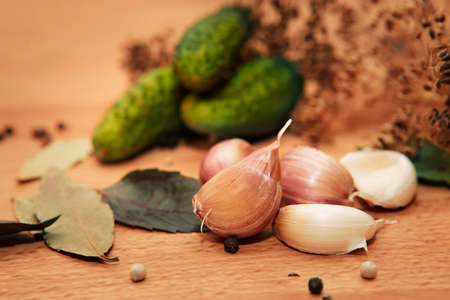 Bay leaves, pepper, dill, garlic - Ingredients for picklingの写真素材