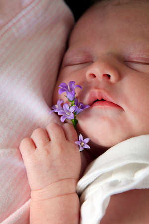 Sleeping newborn baby. The first days of life of the newborn girlの写真素材