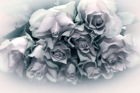 Bouquet of fresh beautiful roses close-upの写真素材