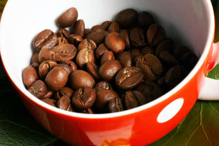 Grains of coffee in a white bowl. Macro-ringの写真素材