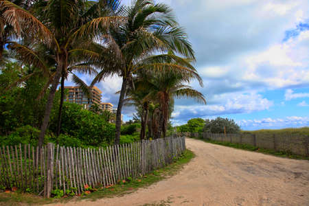 Road along the ocean in Miamiの写真素材
