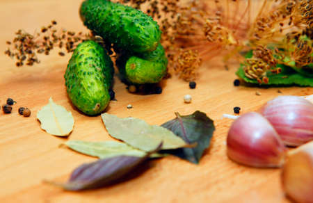 Bay leaves, pepper, dill, garlic - Ingredients for picklingの写真素材