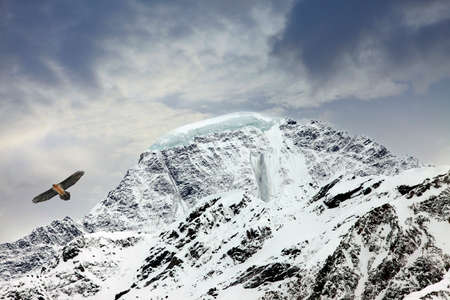 Russia. Caucasus. View on Elbrus Mount - the highest point of Europeの写真素材