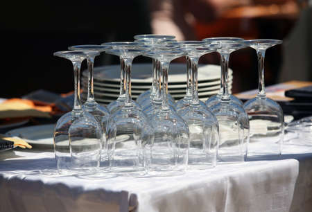 clean wine glasses in lines.