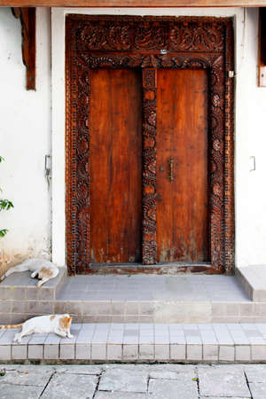 Two cats on the street Stone Town, Zanzibarの写真素材