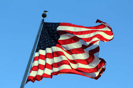 USA Flag on pole waving in the windの写真素材