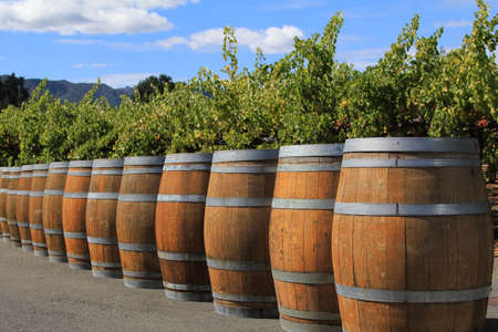 Wine barrels in Napa, Californiaの写真素材