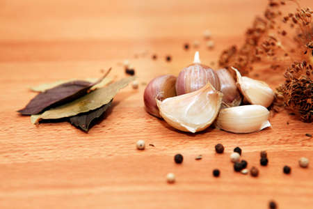 Bay leaves, pepper, dill, garlic - Ingredients for picklingの写真素材