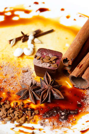 Chocolate candy isolated with anice and cinnamonの写真素材