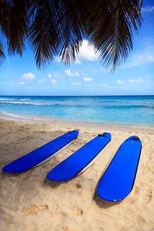 Surfboards at Dover beach on island Barbados on sandy shore by oceanの写真素材