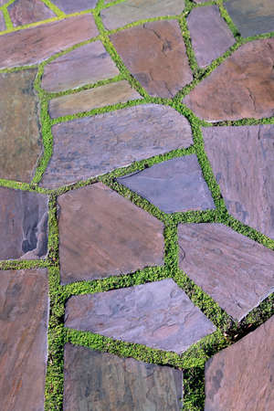 Garden stone path with grassの写真素材