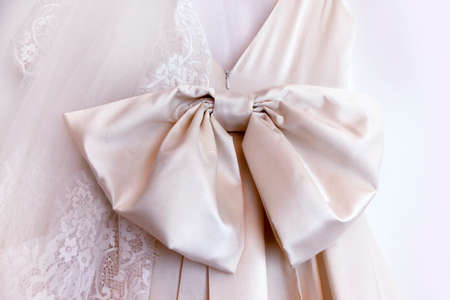 Detail of a wedding dress with bow from a fabricの写真素材
