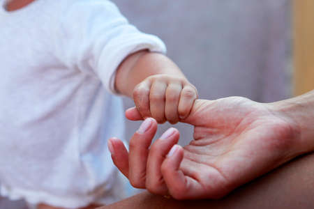 The image of hands of parents and the childの写真素材