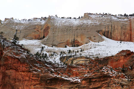 View of Canyon, Zion National Park Cliffsの写真素材