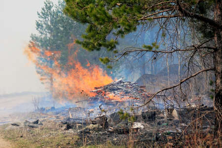 The image of a fire in a forestの写真素材