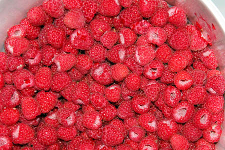 freshly picked raspberries backgroundの写真素材
