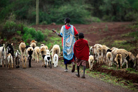 Mombasa, Kenya - January 01, 2017: Kenyan family Masai herding goats. Mombasa, Kenyaのeditorial素材