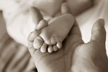 Parent hand hold baby girl legsの写真素材
