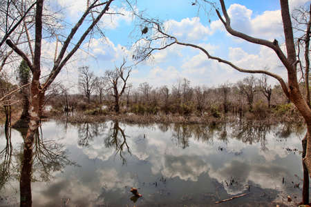 Lake with reflections of clouds. Cambodiaの写真素材