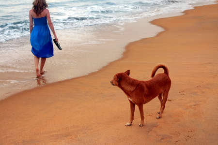 Red dog and the lonely girl at coastの写真素材