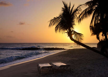 View of nice tropical beach with palm on sunset. Barbadosの写真素材