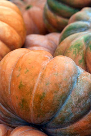 Big pumpkins. Fair of a pumpkins in Californiaの写真素材