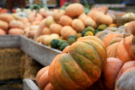 Fair of a pumpkins in Californiaの写真素材