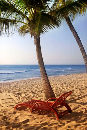Wooden chaise longue under the palm tree on the ocean, Kenyaの写真素材