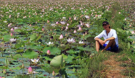 An adult man sits on a lotus field, Cambodiaの写真素材