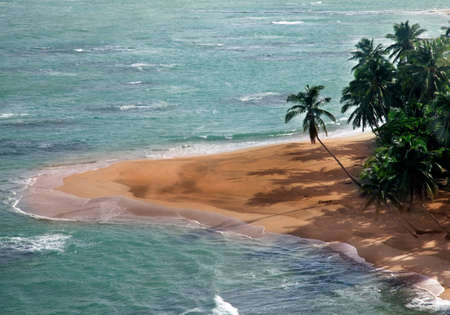 Saona island beach. Dominican Republicの写真素材