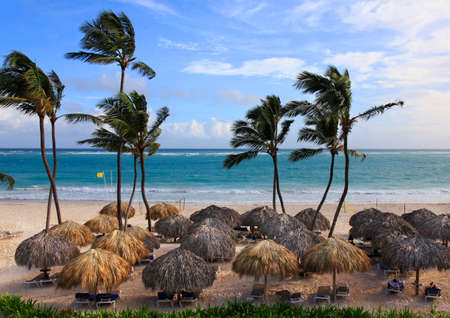 Beach photo with palm trees and blue ocean. Dominican Republicの写真素材