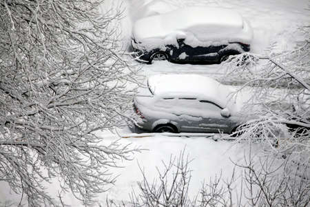 Winter branchs and car covered with snowの写真素材